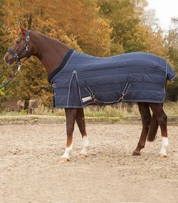 Теплая денниковая попона COMFORT, 100 г