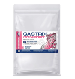 Гастрикс Комфорт РЕФИЛ (ИППОЛАБ, Россия)