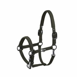 Недоуздок SPARKLE DP Dynamic AW25 (ESKADRON, Германия)