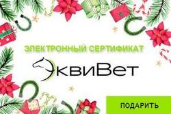Электронный сертификат 1000 р.