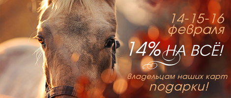 Подарки для всех влюбленных в лошадей! Подарки для всех влюбленных в лошадей!