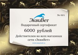 ПОДАРОЧНЫЙ СЕРТИФИКАТ 6000 р.