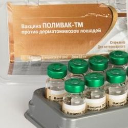 Вакцина Поливак-ТМ против дерматомикозов лошадей инактивированная