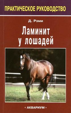 Ламинит у лошадей