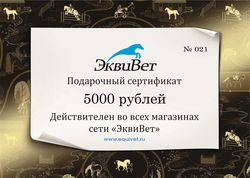 ПОДАРОЧНЫЙ СЕРТИФИКАТ 5000 р.