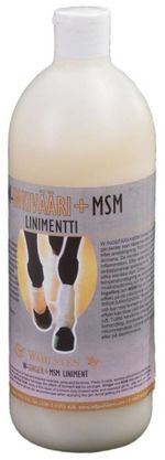 Линимент согревающий W-Ginger + MSM, 1 л