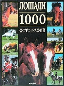 Альбом 1000 фото лошадей