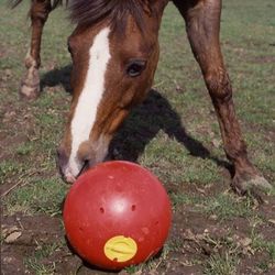 Игрушка-шар для корма SNAK-A-BALL 