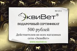 ПОДАРОЧНЫЙ СЕРТИФИКАТ 500 р.