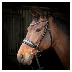 Уздечка трензельная Liberty Soft (Harrys Horse, Нидерланды)