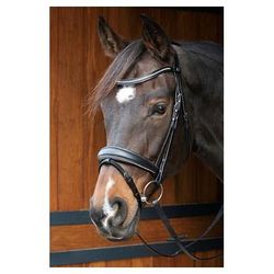 Уздечка трензельная Petit Crystal (Harrys Horse, Нидерланды)