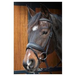 Уздечка трензельная Soft Bombastic Black Edition (Harrys Horse, Нидерланды)