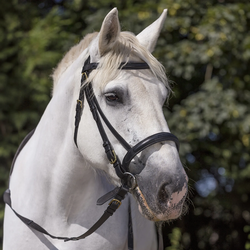 Уздечка трензельная Norton Club для тяжеловозов (EKKIA, Франция)